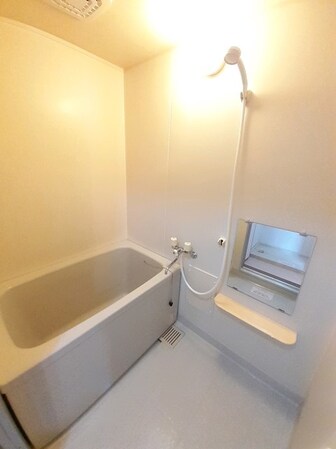 ニューシティー大沢IIIの物件内観写真